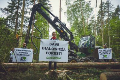 http://politicalcritique.org/cee/poland/2017/bialowieza-forest-unesco-logging-take-action/